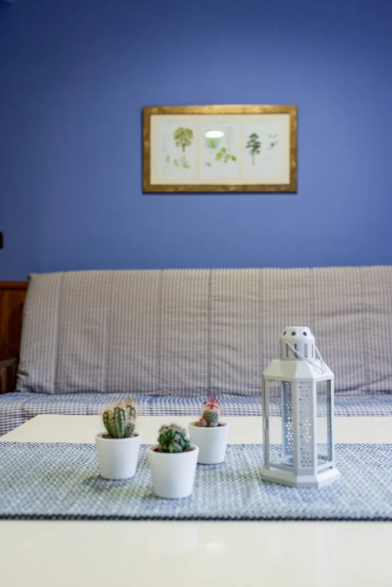Apartamentos La Lonja, Asturias